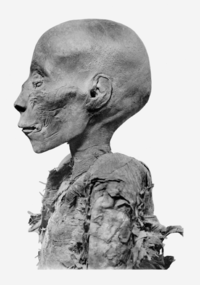 Thutmose I head profile.png