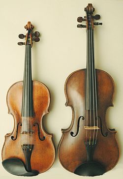 Различие в размерах между скрипкой (слева) и альтом (справа)