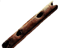 Найдено не менее дюжины флейт из птичьих костей (28-22 тыс. лет)